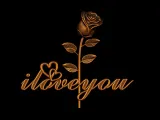 Rose I Love You Valentines Day-4