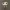 Funko Bautista GH 2024