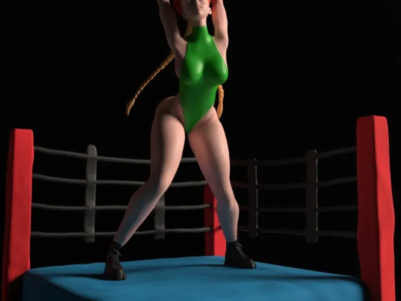 Cammy from Street Fighter