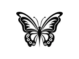 Celestial Butterfly Wall Art-4