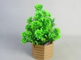Hexagonal Bonsai Pot-3