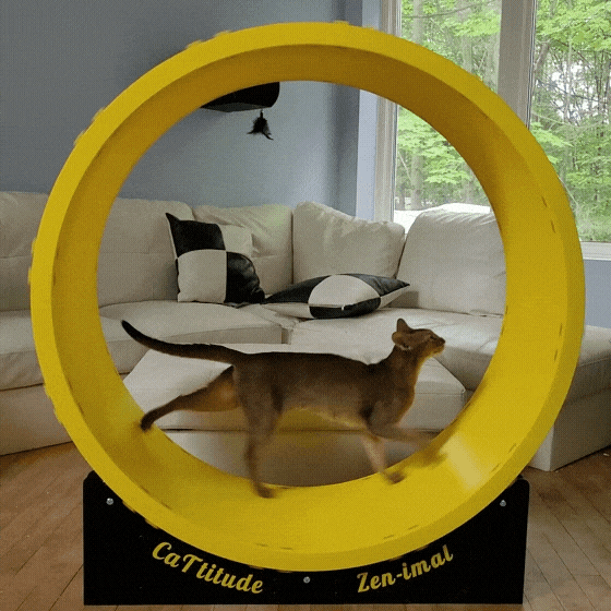 Cat wheel of 3 feet diameter A minimum 300x300x300 printer