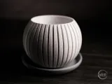 nimbus · planter-2