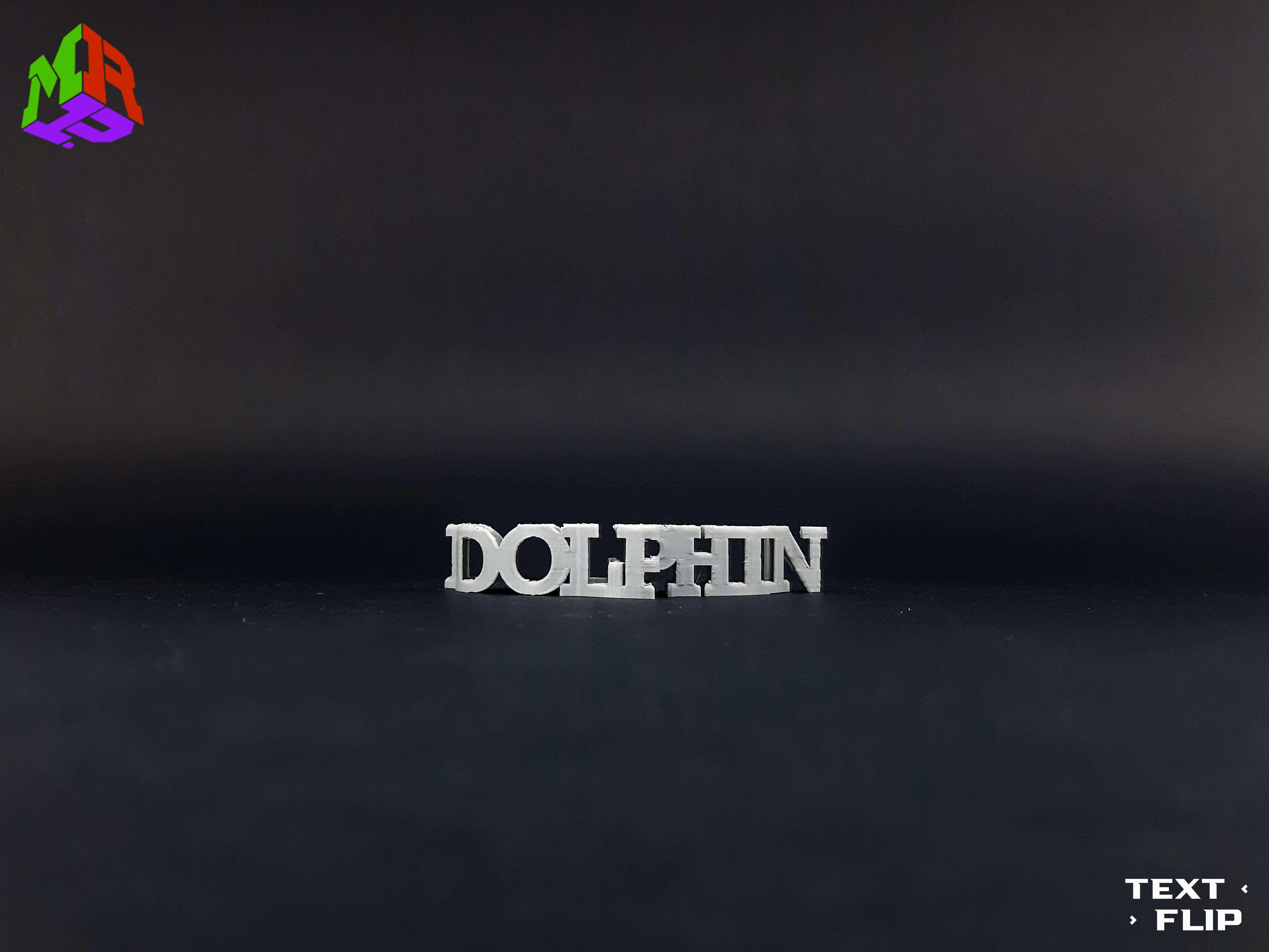 Text Flip - Dolphin