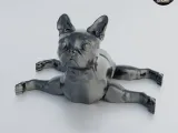 Boston Terrier Dog - Articulated - Print in Place - Flexi-2