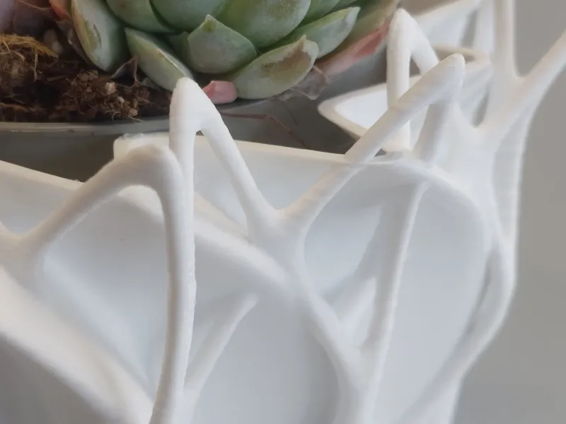 Pot Interior Decor_F