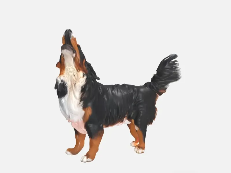 Bernersennen Hund