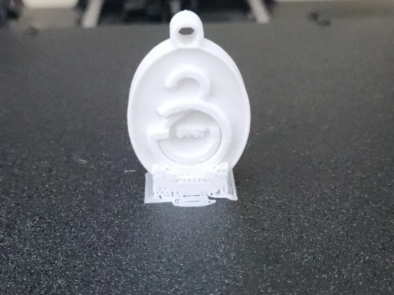 Galatasaray Keychain
