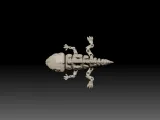 Cute Godzilla Skeleton-2