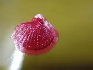 shell earring necklace (Silk filament)