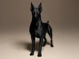 Doberaner Hund Deko-2