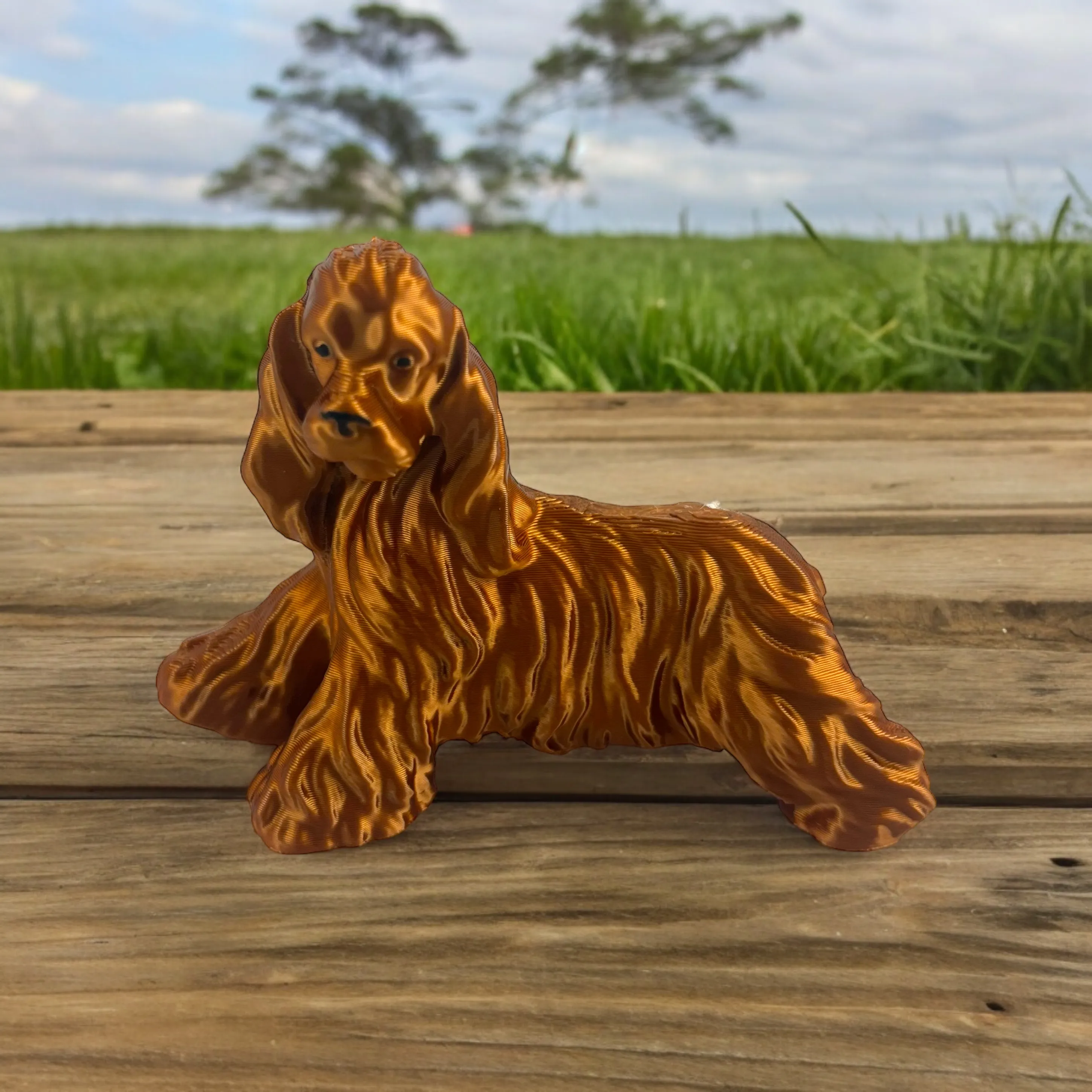 Cocker Spaniel Big