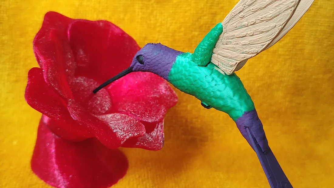 Colibrí