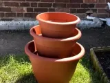 Whiskey Grape Stomping half-barrel planter-6