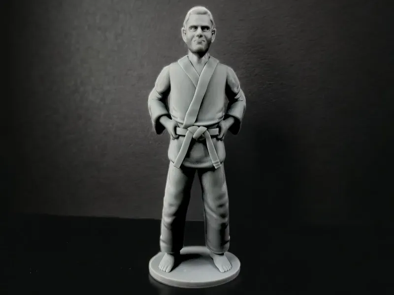 Luchador de judo