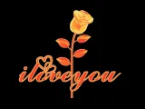 Rose I Love You Valentines Day-1