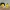 HOMER SIMPSON CONTROLLER-HALTER / STIFTEHALTER
