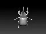 Dynastes hercules model - statue - 3D print-3