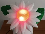 Daisy Lamp-3