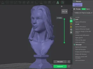 Woman Bust / Personal Use