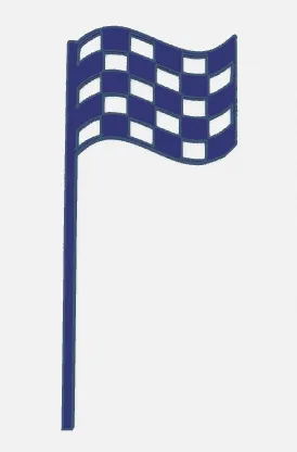 Cake Topper - Chequered Flag