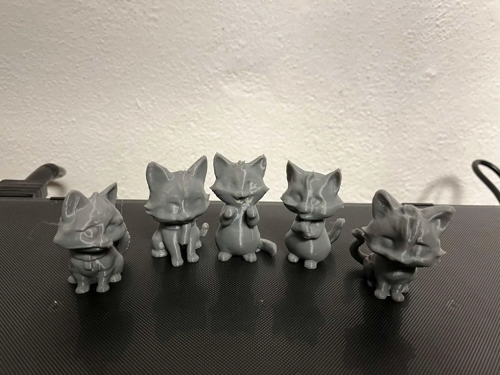 Begging, Squealing kittens, cats