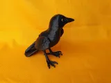 Crow-3