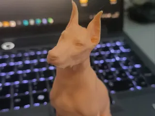 Doberman