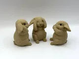 Three Cute Bunnies-3