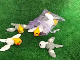 Mini Cockatiel-7