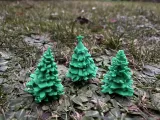 Coniferous trees diorama-1