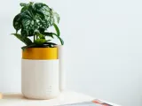 FlowerPOT-3