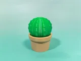 Cactus Storage Box-3