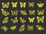 Butterfly Collection Pack-0