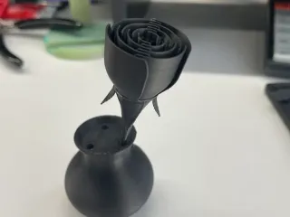 Roses and Vase