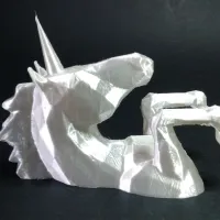 Unicorn-1