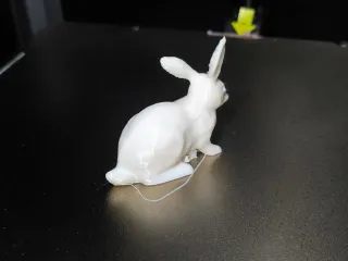 Rabbit