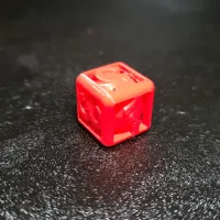 Calibration Dice-2
