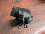 Pfeilgiftfrosch-6