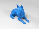 German Shepherd Dog-4