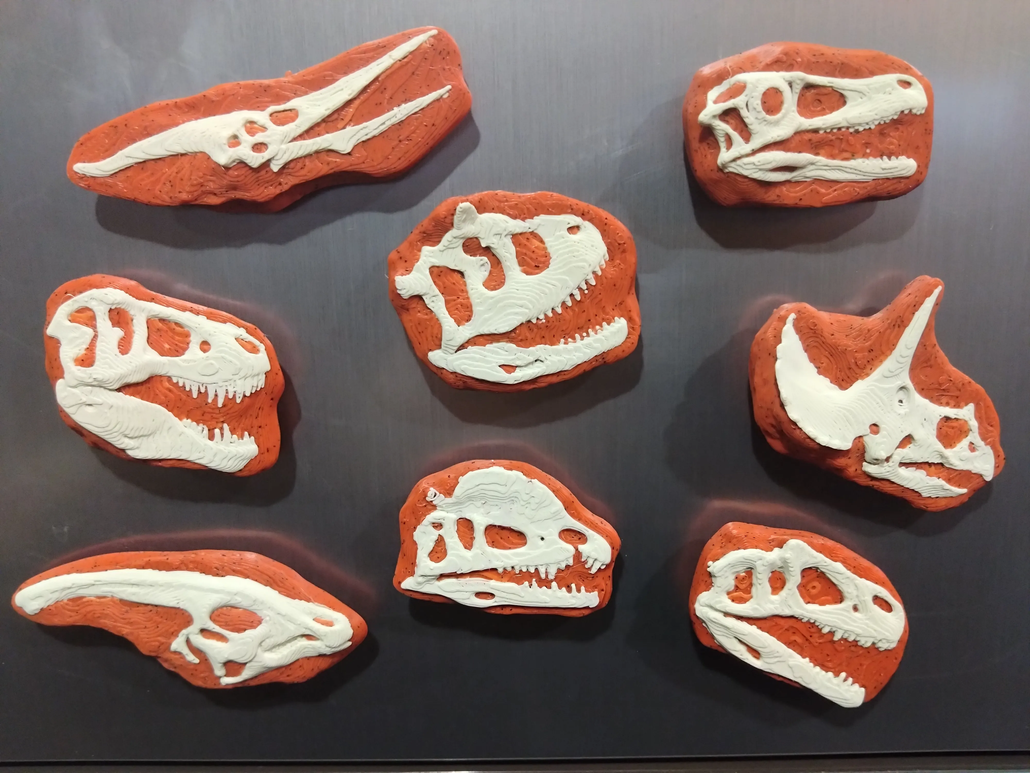 Dinosaur Fossil Skull Magnets