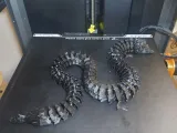Modular Articulated Dragon 🐉-6