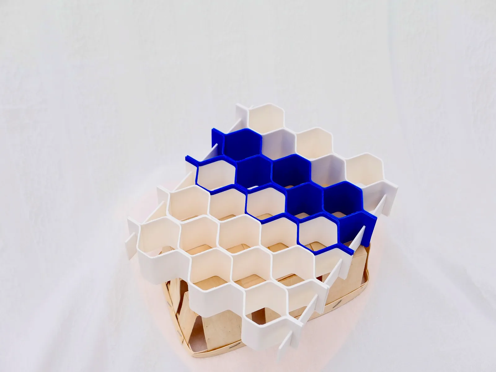 Modular Seed planter