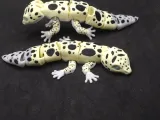 Articulated Leopard Gecko Toy-7