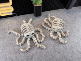 Articulated Skeleton Octopus-8
