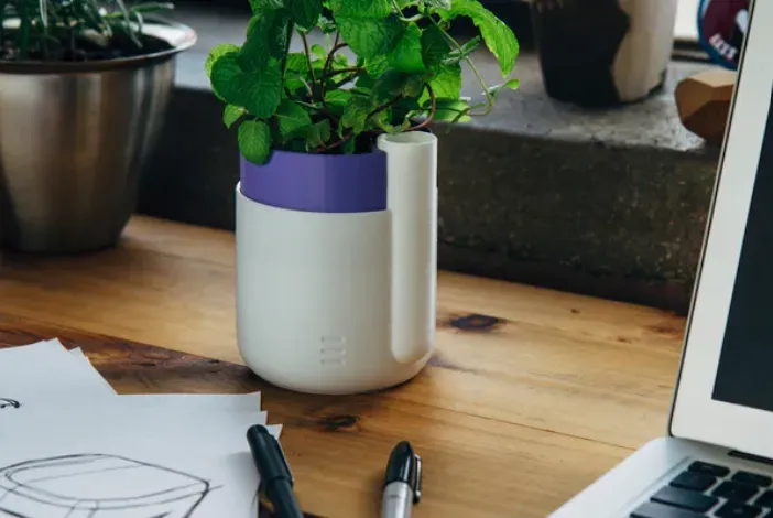 FlowerPOT