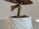 Pot Interior Decor P-0