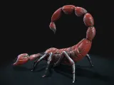 SCORPION-1
