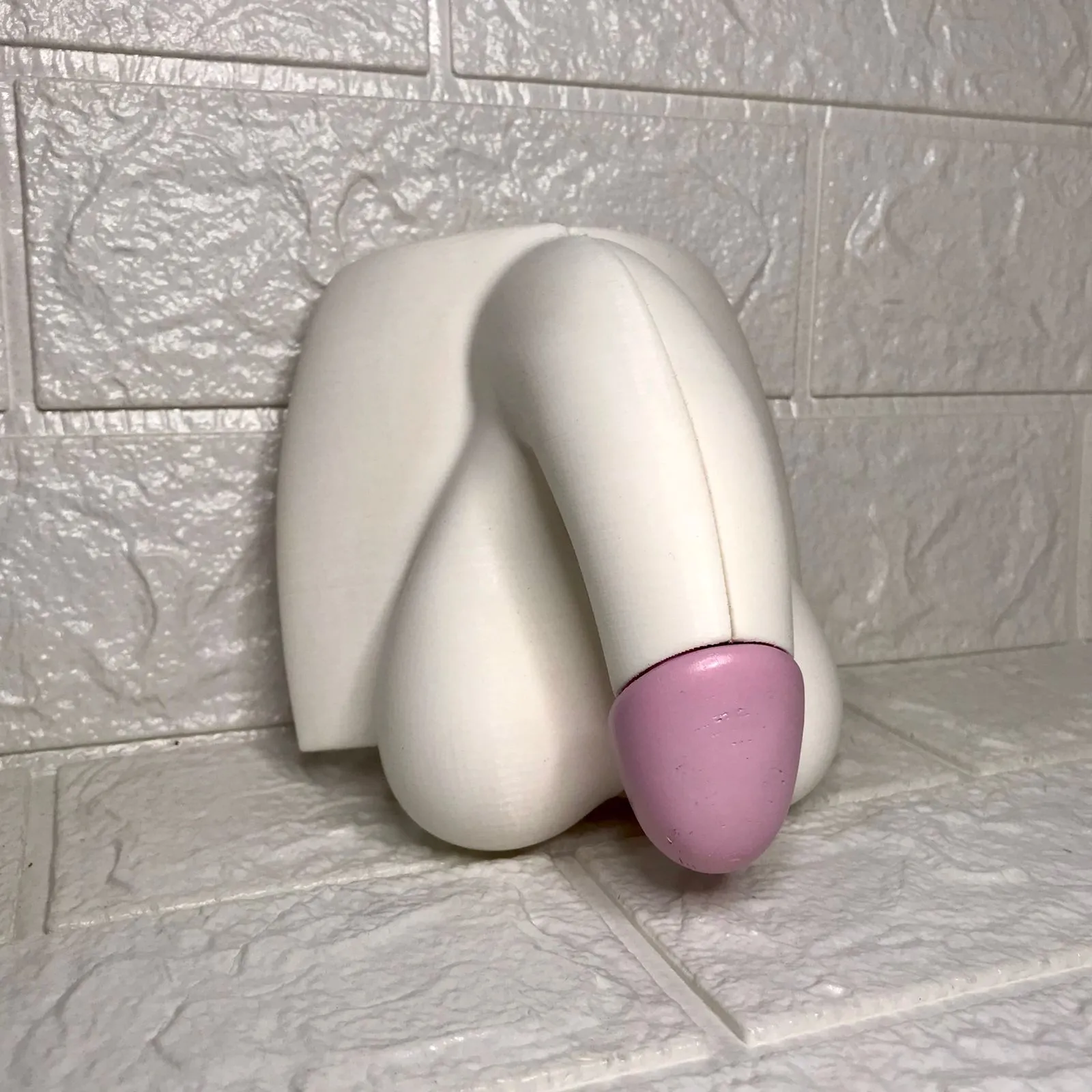Penis anatomy
