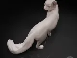 Cat looks back-4